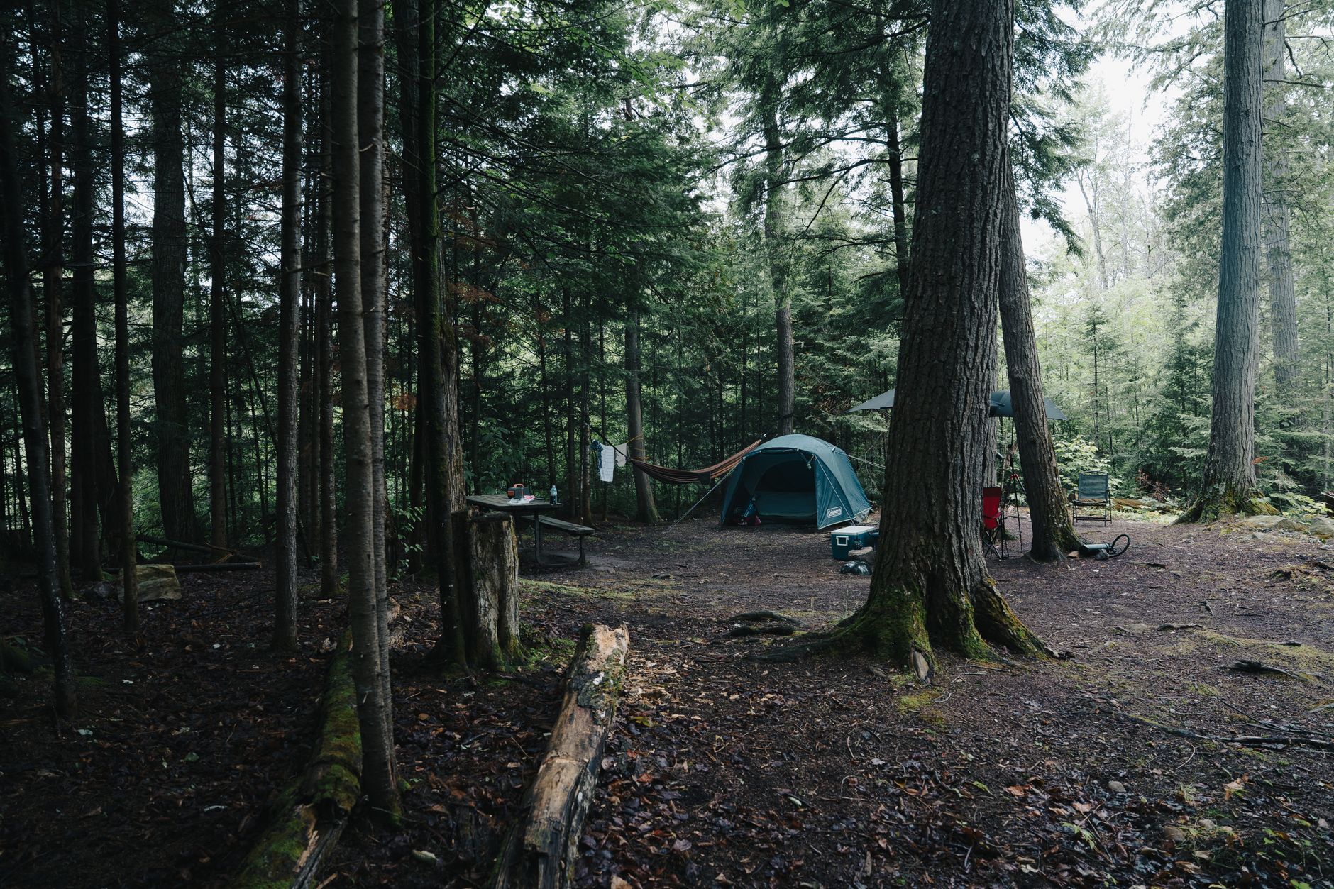 Washington Campgrounds With the Best Cell Coverage